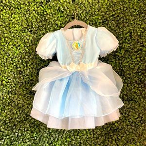 Disney Cinderella Dress